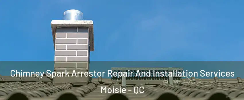  Chimney Spark Arrestor Repair And Installation Services Moisie - QC