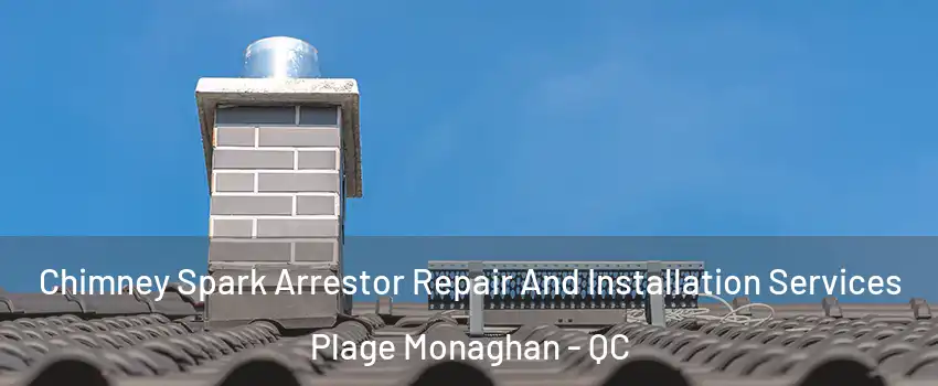  Chimney Spark Arrestor Repair And Installation Services Plage Monaghan - QC