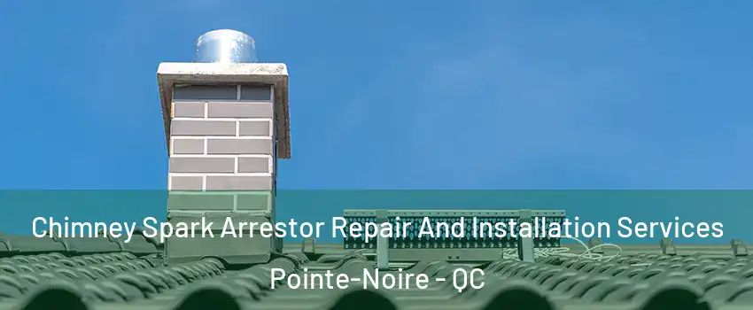  Chimney Spark Arrestor Repair And Installation Services Pointe-Noire - QC