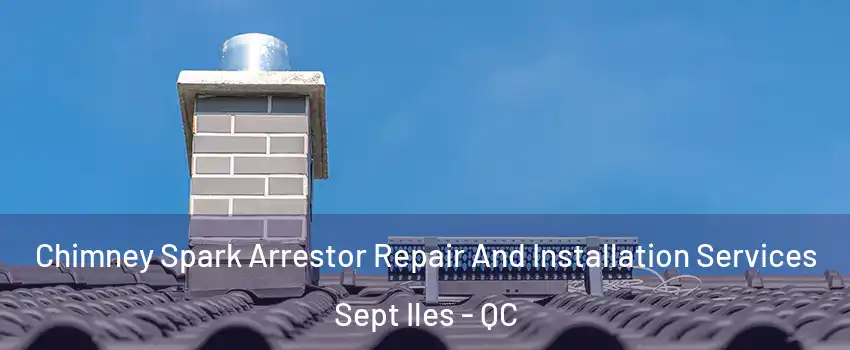 Chimney Spark Arrestor Repair And Installation Services Sept Iles - QC