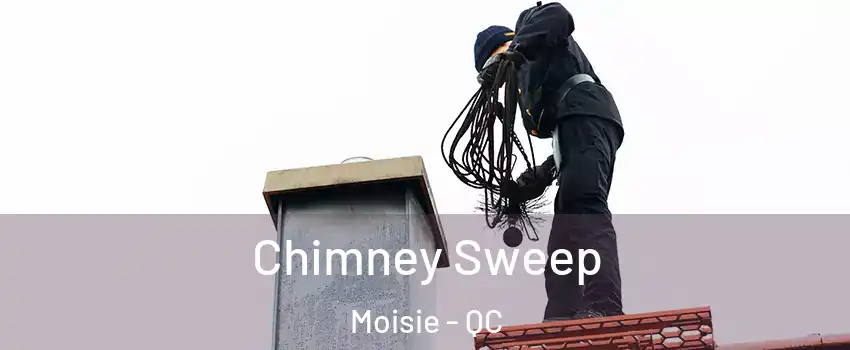  Chimney Sweep Moisie - QC