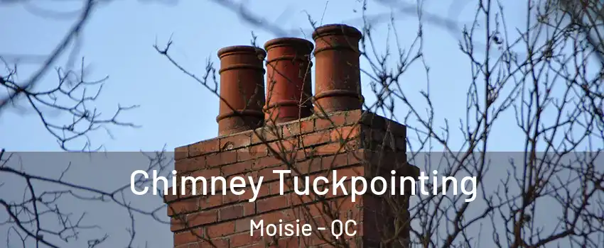  Chimney Tuckpointing Moisie - QC