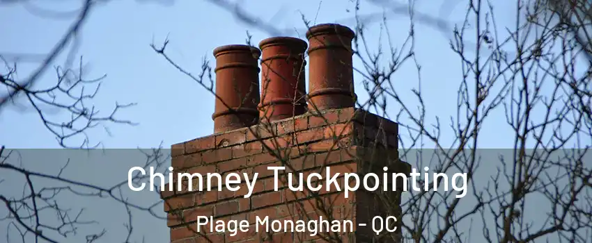  Chimney Tuckpointing Plage Monaghan - QC