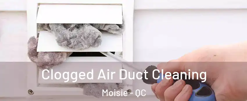  Clogged Air Duct Cleaning Moisie - QC