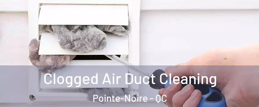  Clogged Air Duct Cleaning Pointe-Noire - QC
