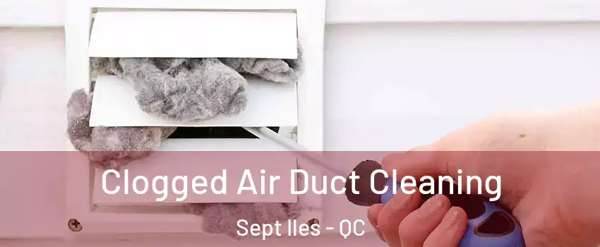  Clogged Air Duct Cleaning Sept Iles - QC