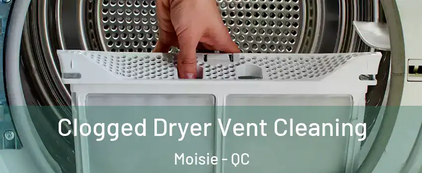  Clogged Dryer Vent Cleaning Moisie - QC