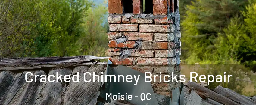  Cracked Chimney Bricks Repair Moisie - QC