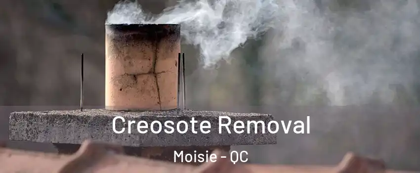  Creosote Removal Moisie - QC