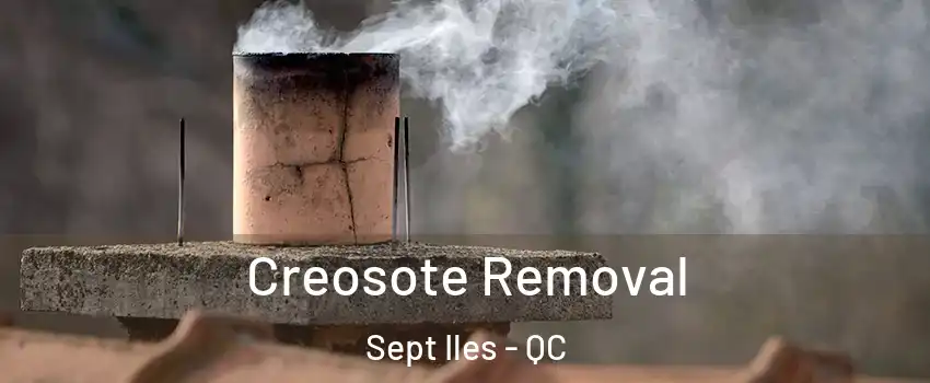  Creosote Removal Sept Iles - QC