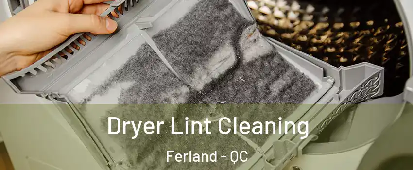  Dryer Lint Cleaning Ferland - QC