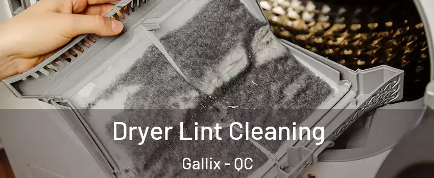  Dryer Lint Cleaning Gallix - QC