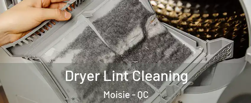  Dryer Lint Cleaning Moisie - QC