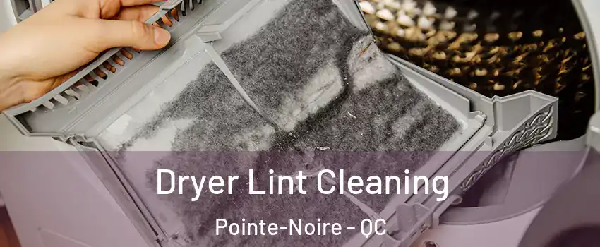  Dryer Lint Cleaning Pointe-Noire - QC