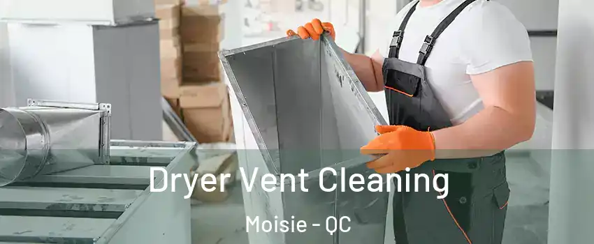  Dryer Vent Cleaning Moisie - QC