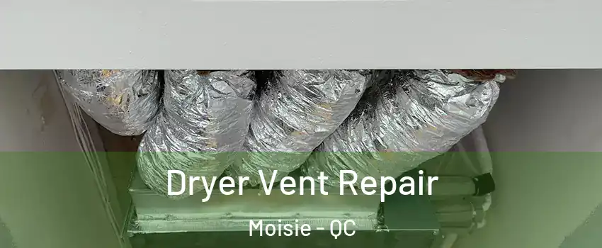  Dryer Vent Repair Moisie - QC