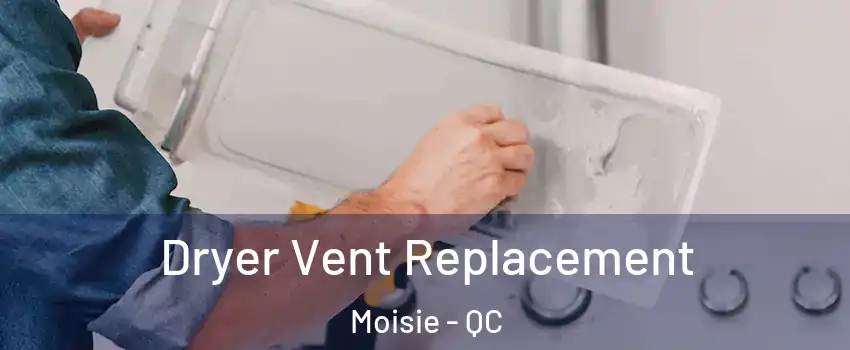 Dryer Vent Replacement Moisie - QC
