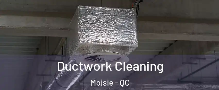  Ductwork Cleaning Moisie - QC