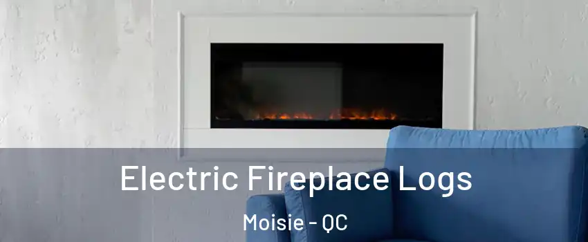  Electric Fireplace Logs Moisie - QC