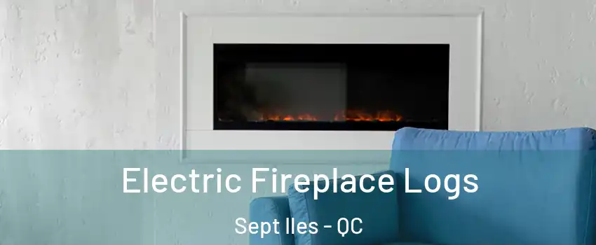  Electric Fireplace Logs Sept Iles - QC