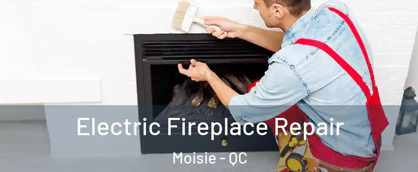  Electric Fireplace Repair Moisie - QC