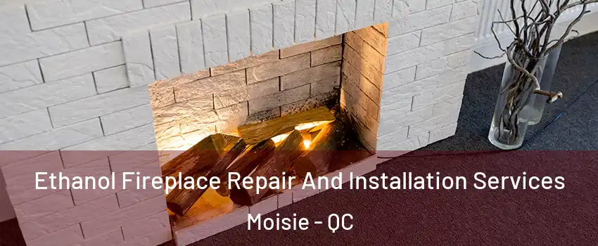  Ethanol Fireplace Repair And Installation Services Moisie - QC