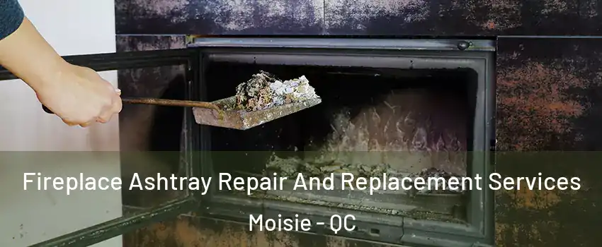  Fireplace Ashtray Repair And Replacement Services Moisie - QC