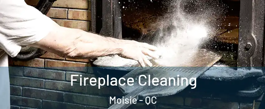  Fireplace Cleaning Moisie - QC