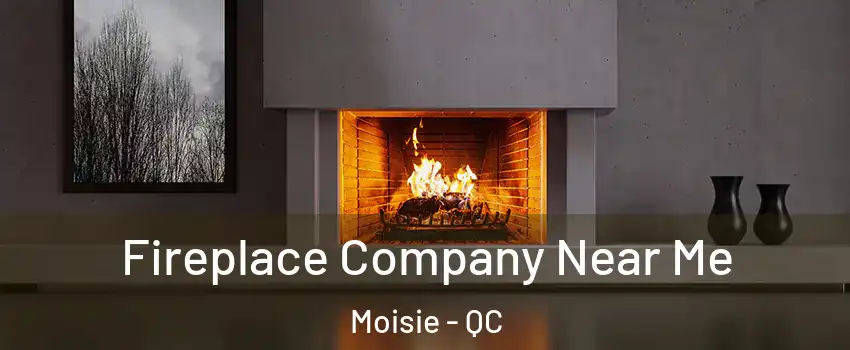 Fireplace Company Near Me Moisie - QC