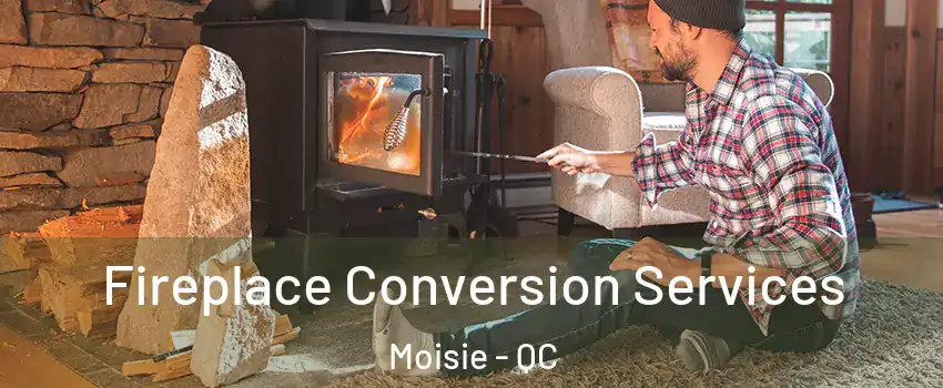  Fireplace Conversion Services Moisie - QC