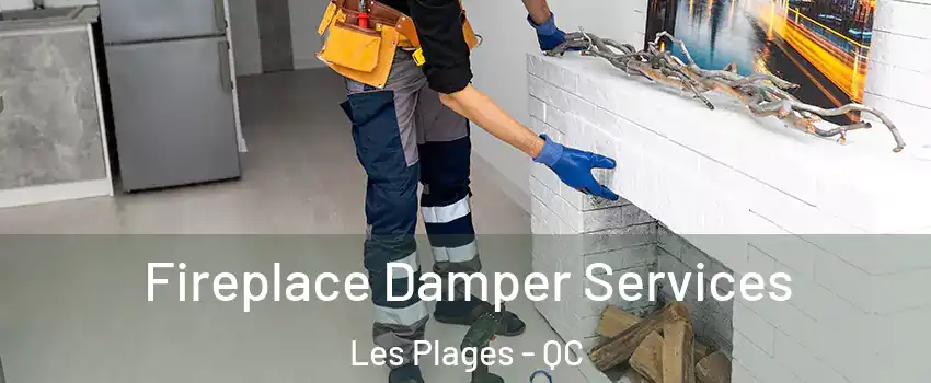 Fireplace Damper Services Les Plages - QC