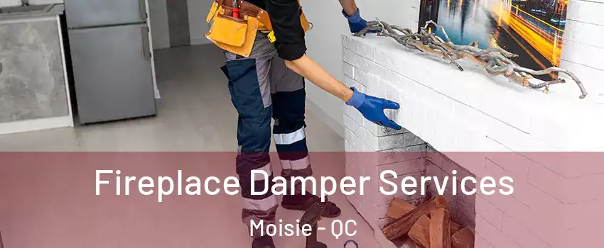  Fireplace Damper Services Moisie - QC