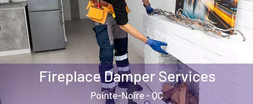  Fireplace Damper Services Pointe-Noire - QC