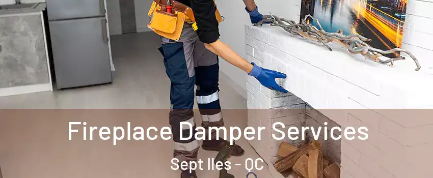  Fireplace Damper Services Sept Iles - QC