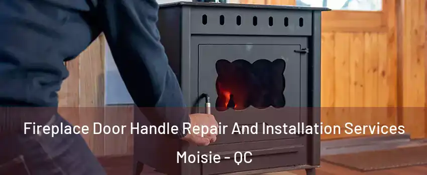  Fireplace Door Handle Repair And Installation Services Moisie - QC
