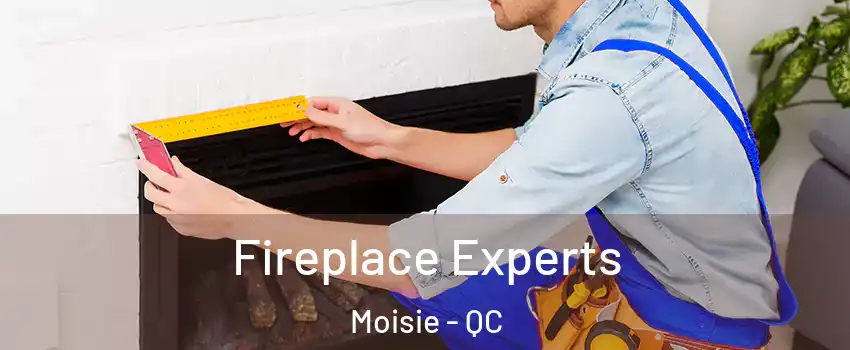 Fireplace Experts Moisie - QC