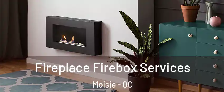  Fireplace Firebox Services Moisie - QC
