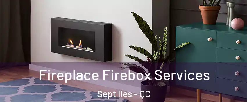  Fireplace Firebox Services Sept Iles - QC
