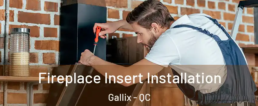  Fireplace Insert Installation Gallix - QC