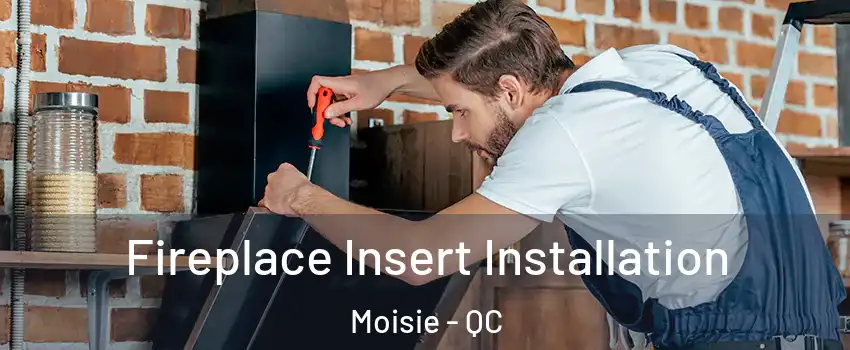  Fireplace Insert Installation Moisie - QC