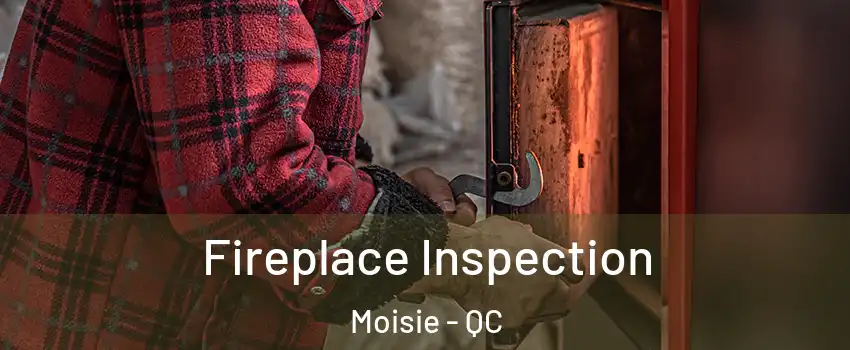  Fireplace Inspection Moisie - QC