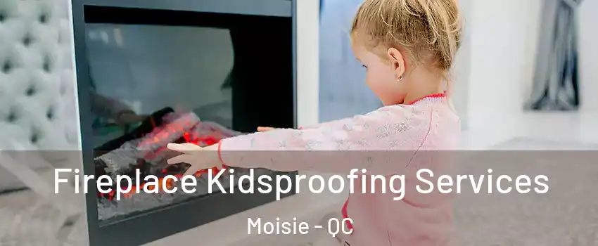  Fireplace Kidsproofing Services Moisie - QC