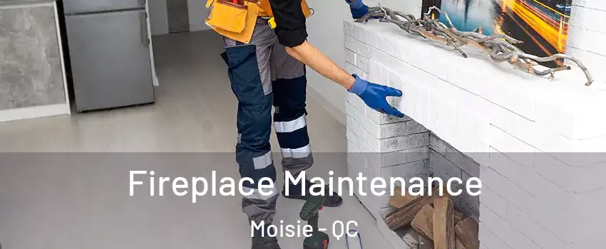  Fireplace Maintenance Moisie - QC
