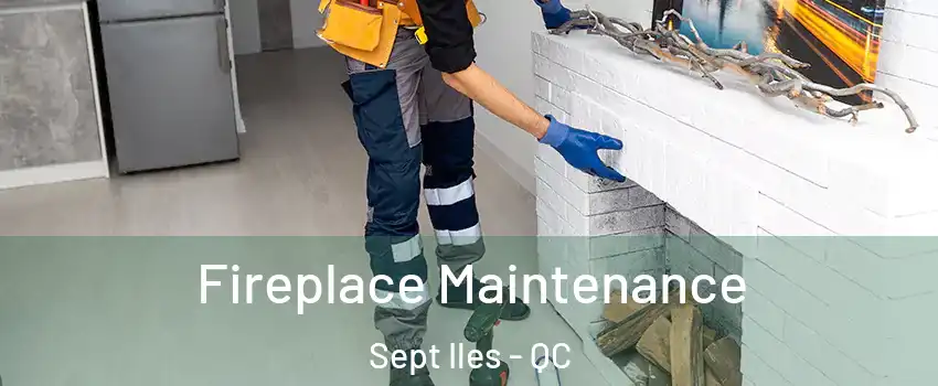  Fireplace Maintenance Sept Iles - QC