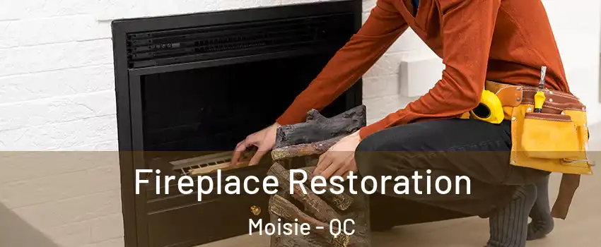  Fireplace Restoration Moisie - QC
