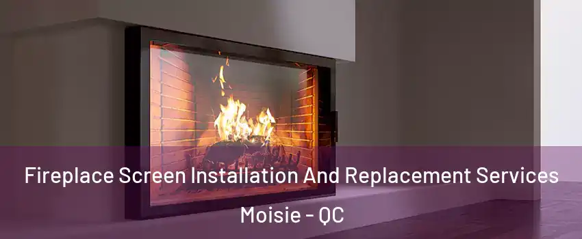 Fireplace Screen Installation And Replacement Services Moisie - QC