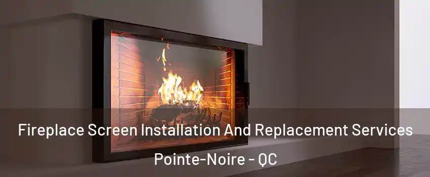Fireplace Screen Installation And Replacement Services Pointe-Noire - QC