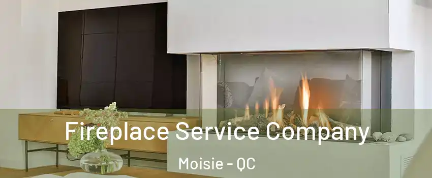  Fireplace Service Company Moisie - QC
