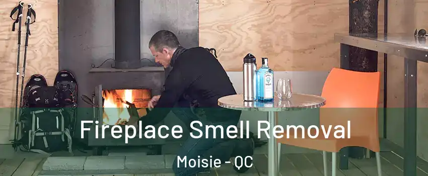  Fireplace Smell Removal Moisie - QC