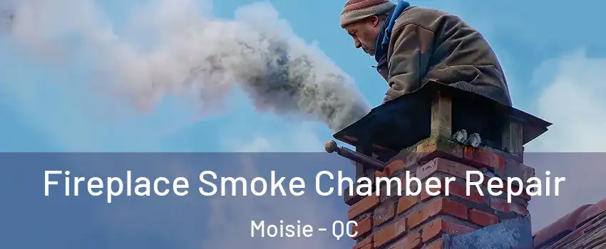  Fireplace Smoke Chamber Repair Moisie - QC